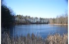 Tract 7 - 4.8 acre Private Lake - 339+/- Acres Offered in 10 Tracts